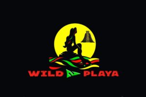 wild playa desktop main logo