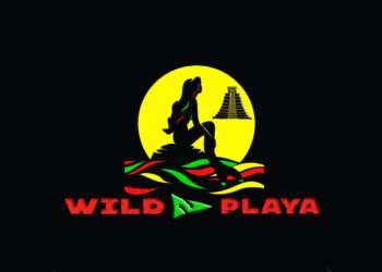 wild playa desktop main logo