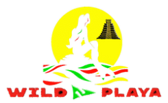 Wild Playa Main Page Logo